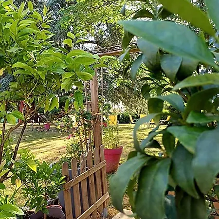 L'orangerie 3*